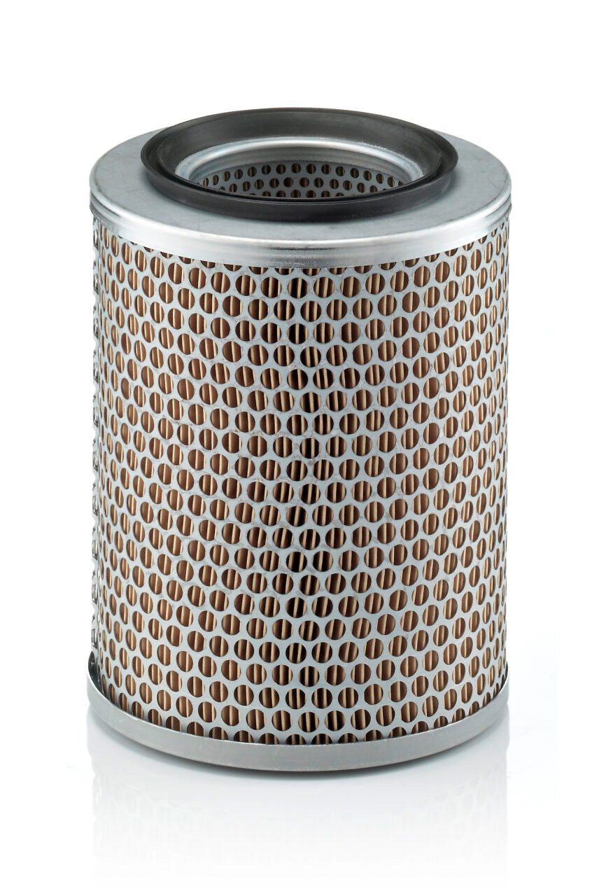 Mann Filter C 17 134