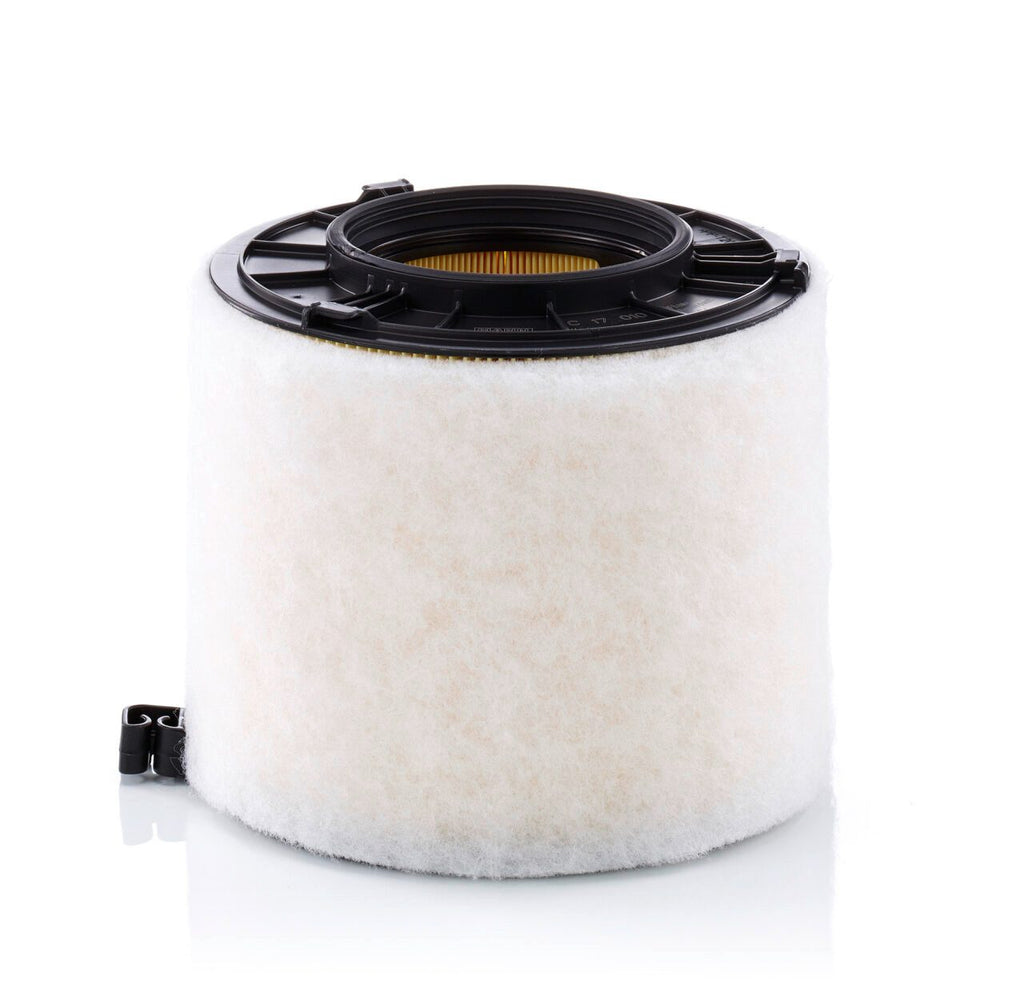 Mann Filter C 17 010